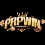 RP WIN APK icon